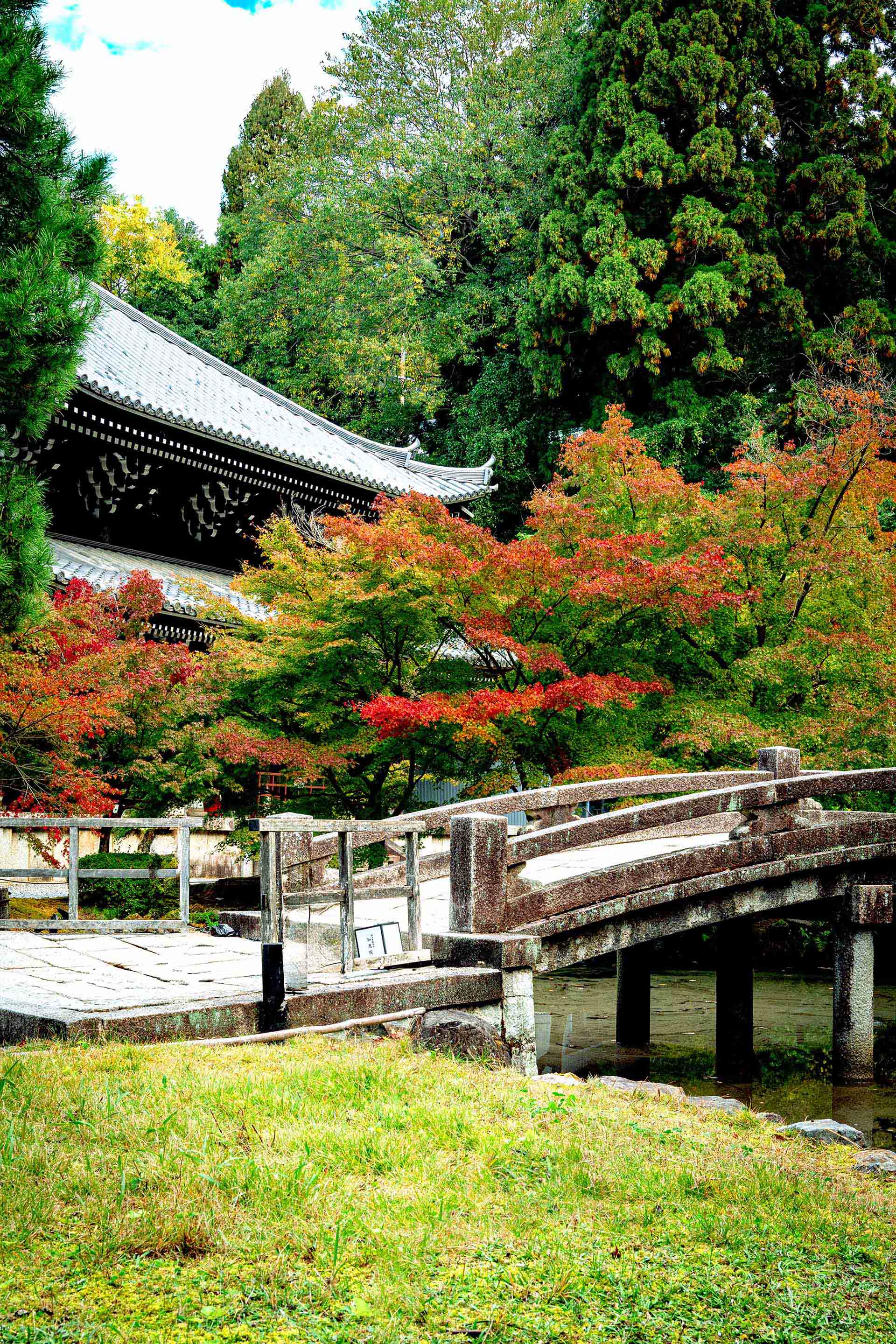 eMAXIS Slim 全世界株式（オルカン）とは？信託報酬・特徴を徹底解説