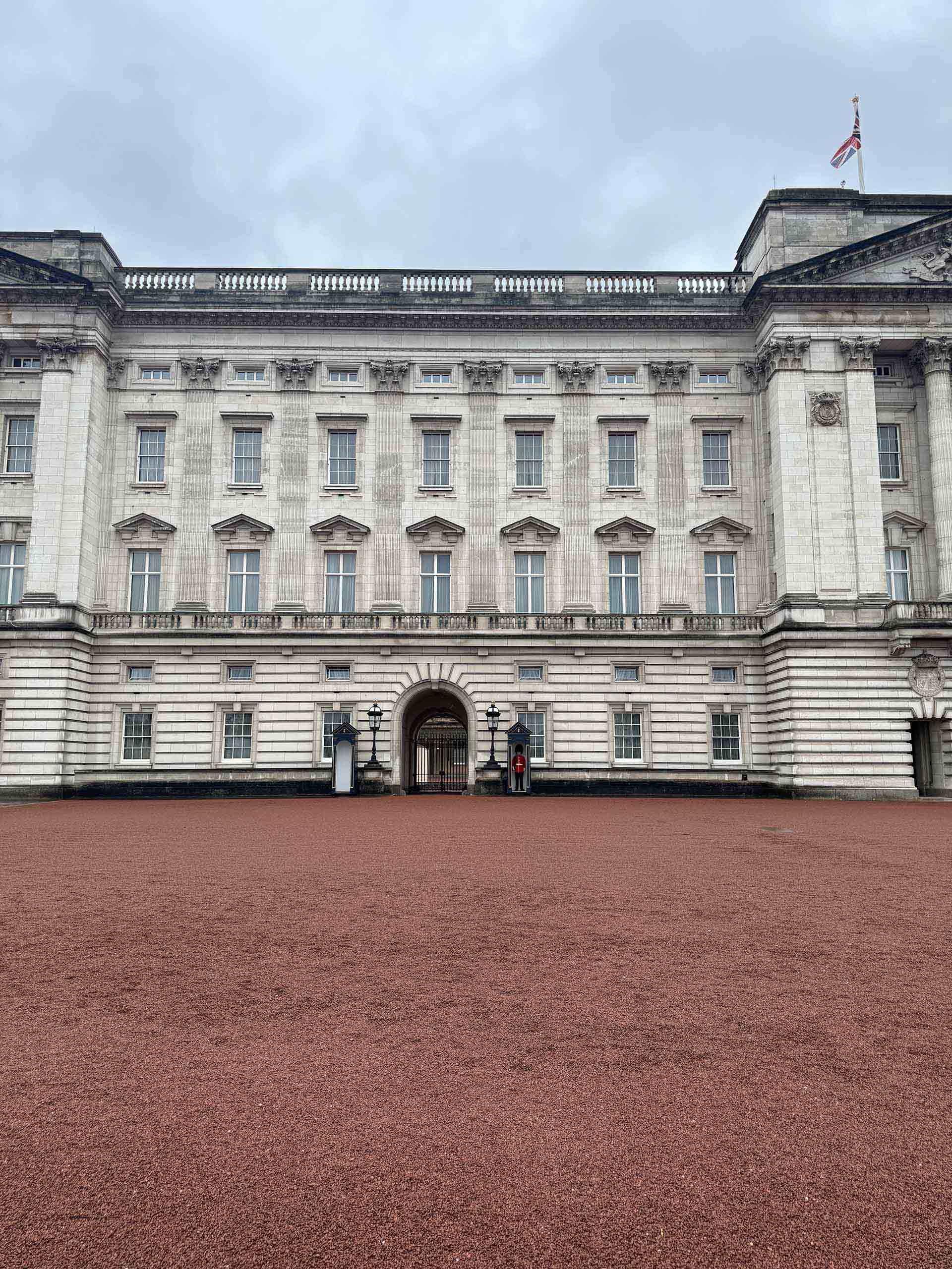 ポートフォリオでの活用