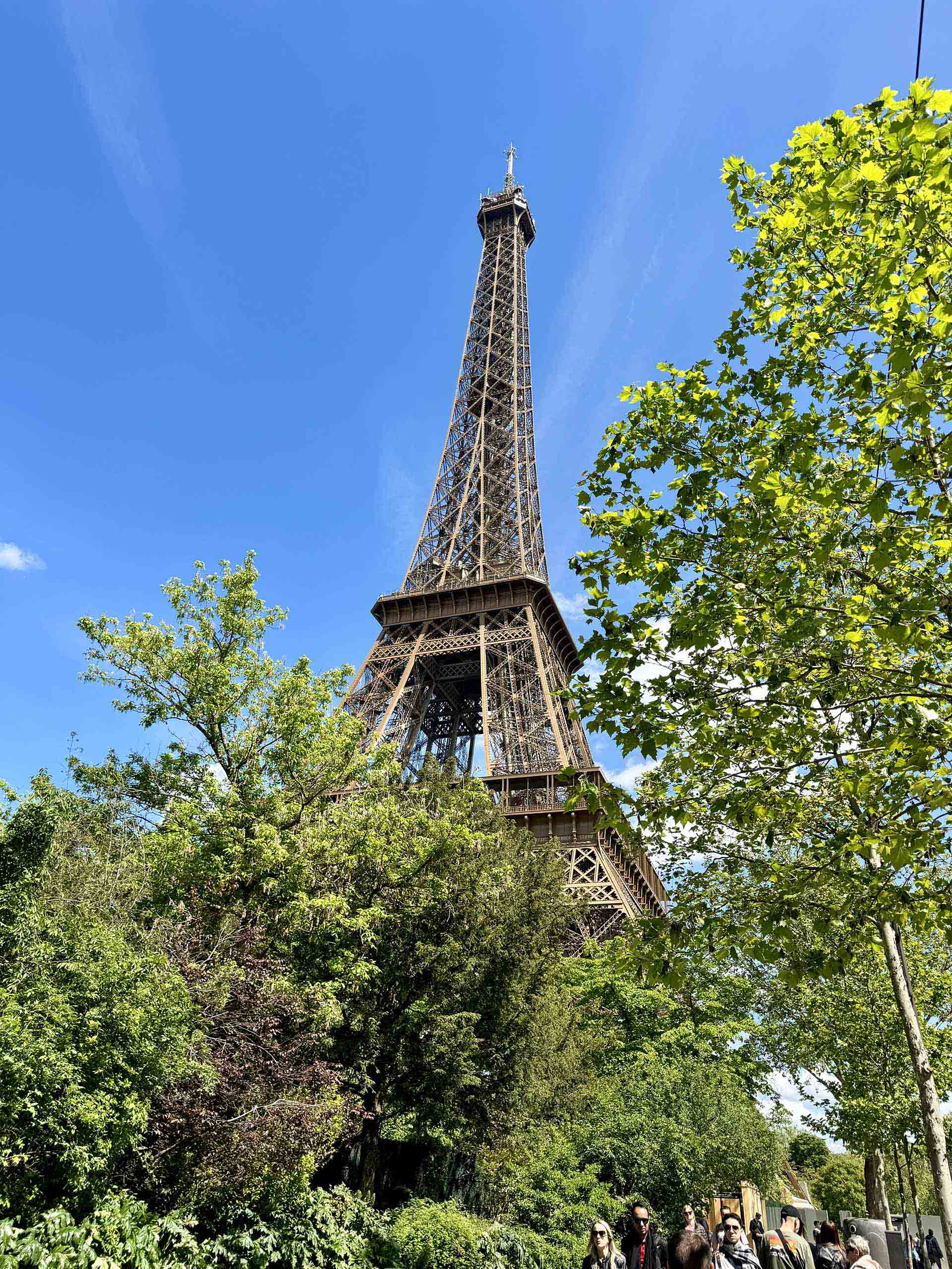 米国が通商法301条で日本を調査対象に｜投資家が知るべき影響とタイムライン