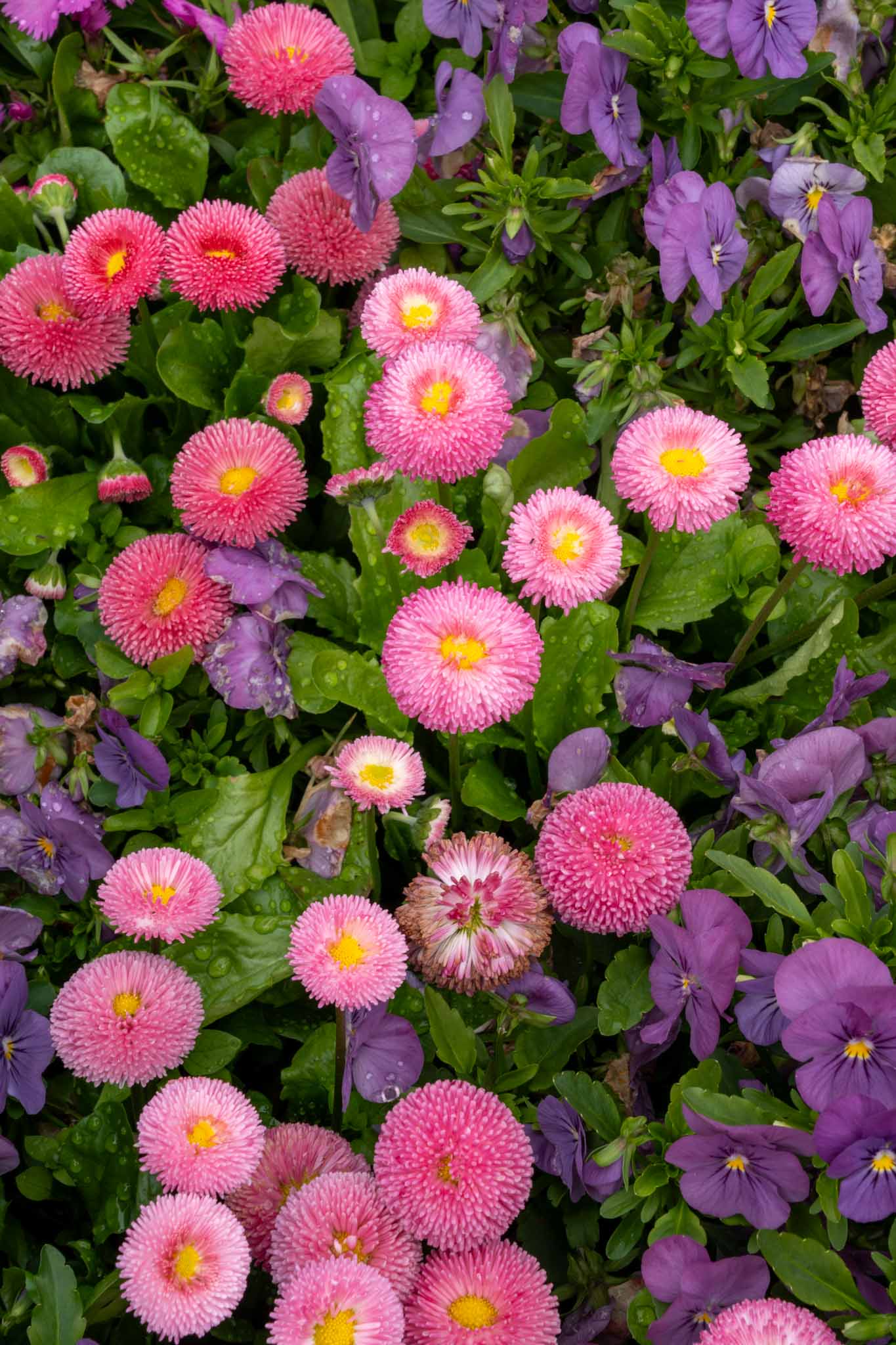 30代子育て世代の資産形成術｜教育費と老後資金を同時に準備する方法