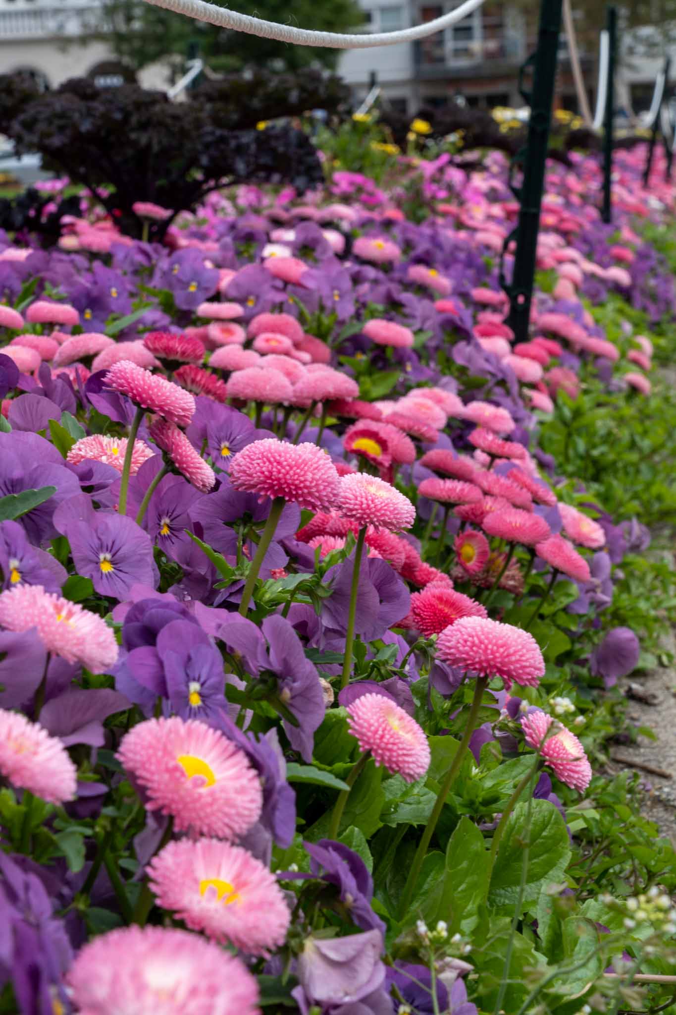 S&P500は2026年に8,000到達？各社予測と注目ポイント