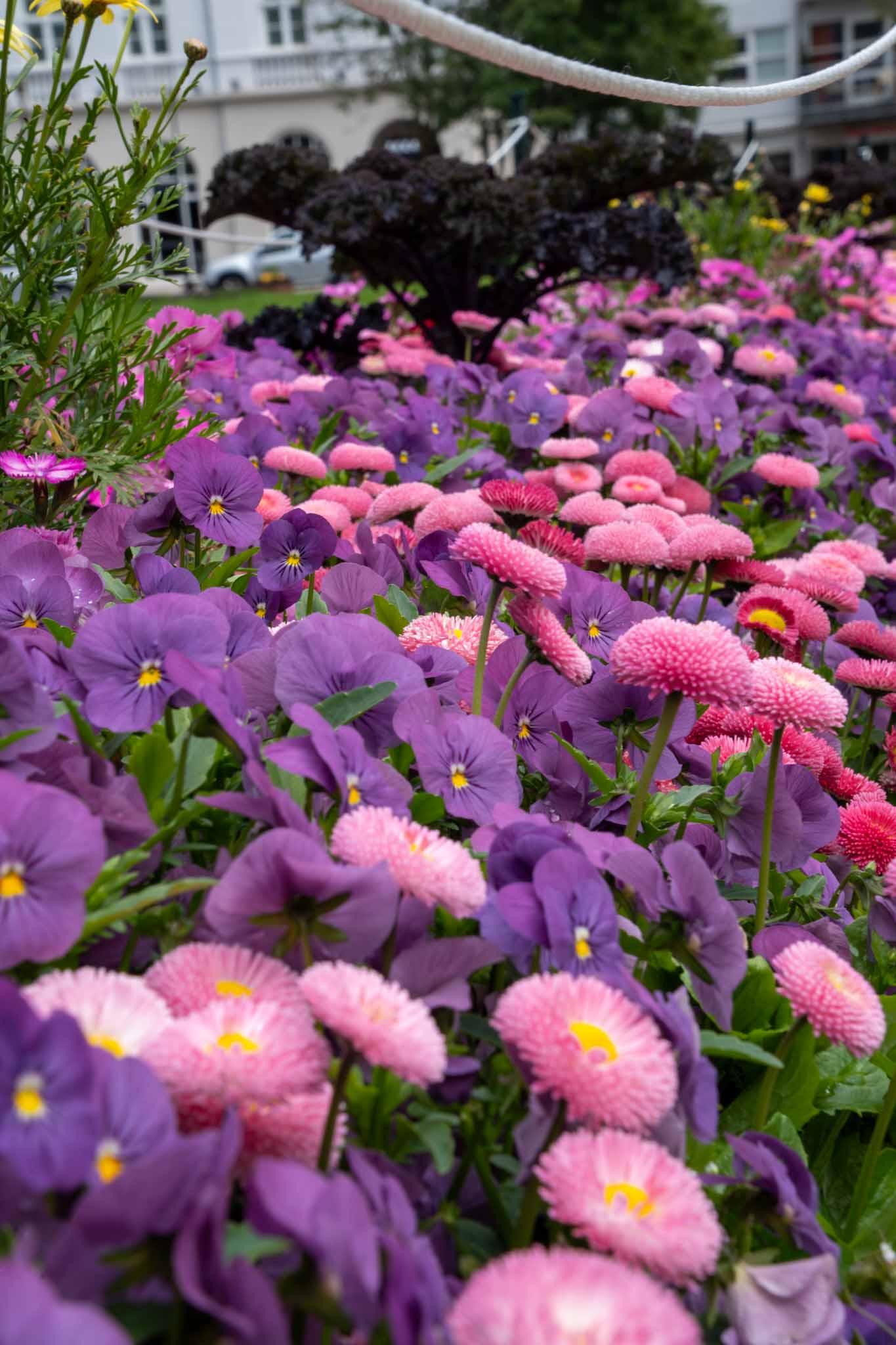 住宅ローンの繰り上げ返済と投資、どっちを優先すべき？2025年の判断基準