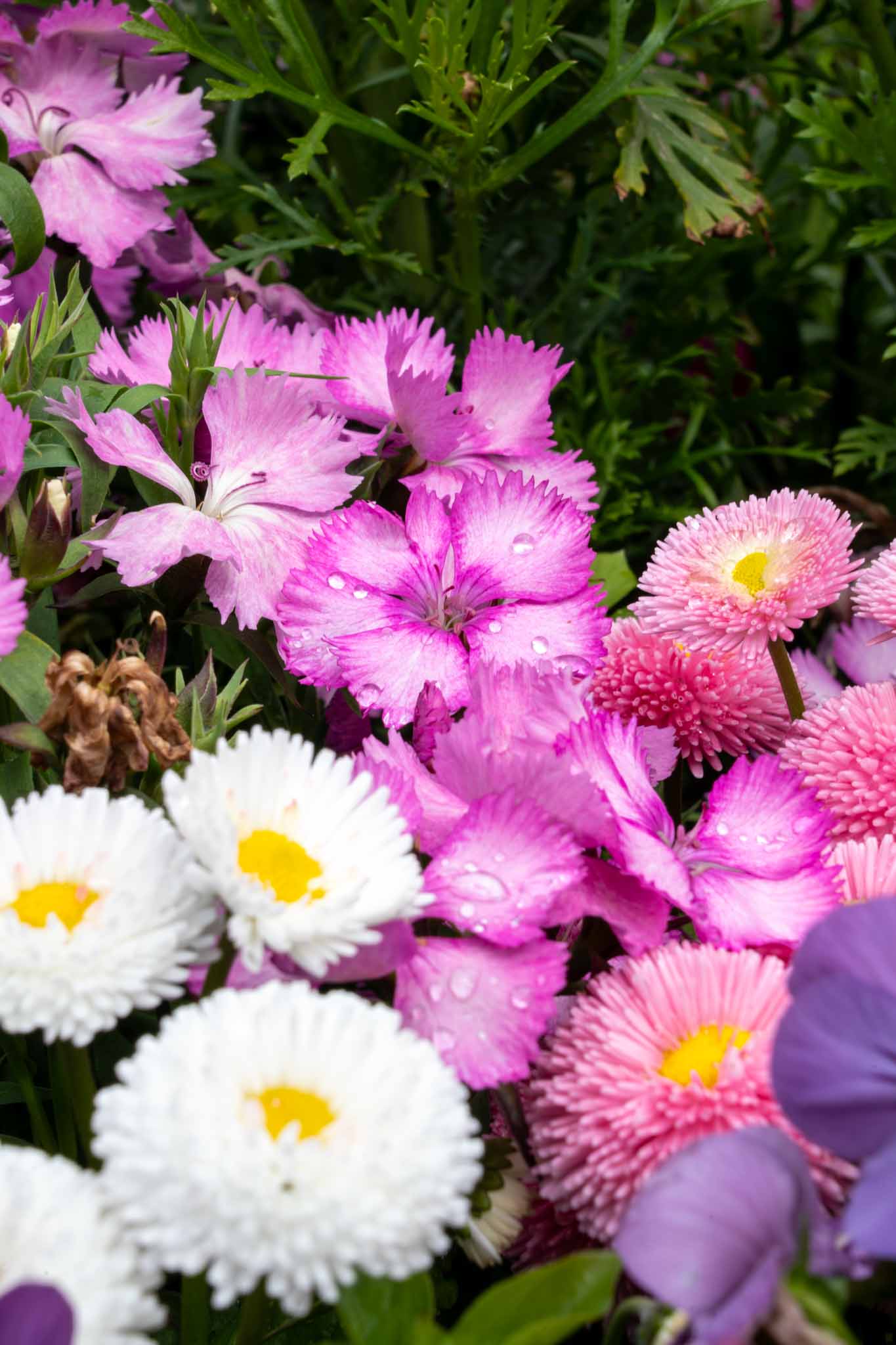 4%ルールとは｜FIREの出口戦略、取り崩しの考え方を徹底解説