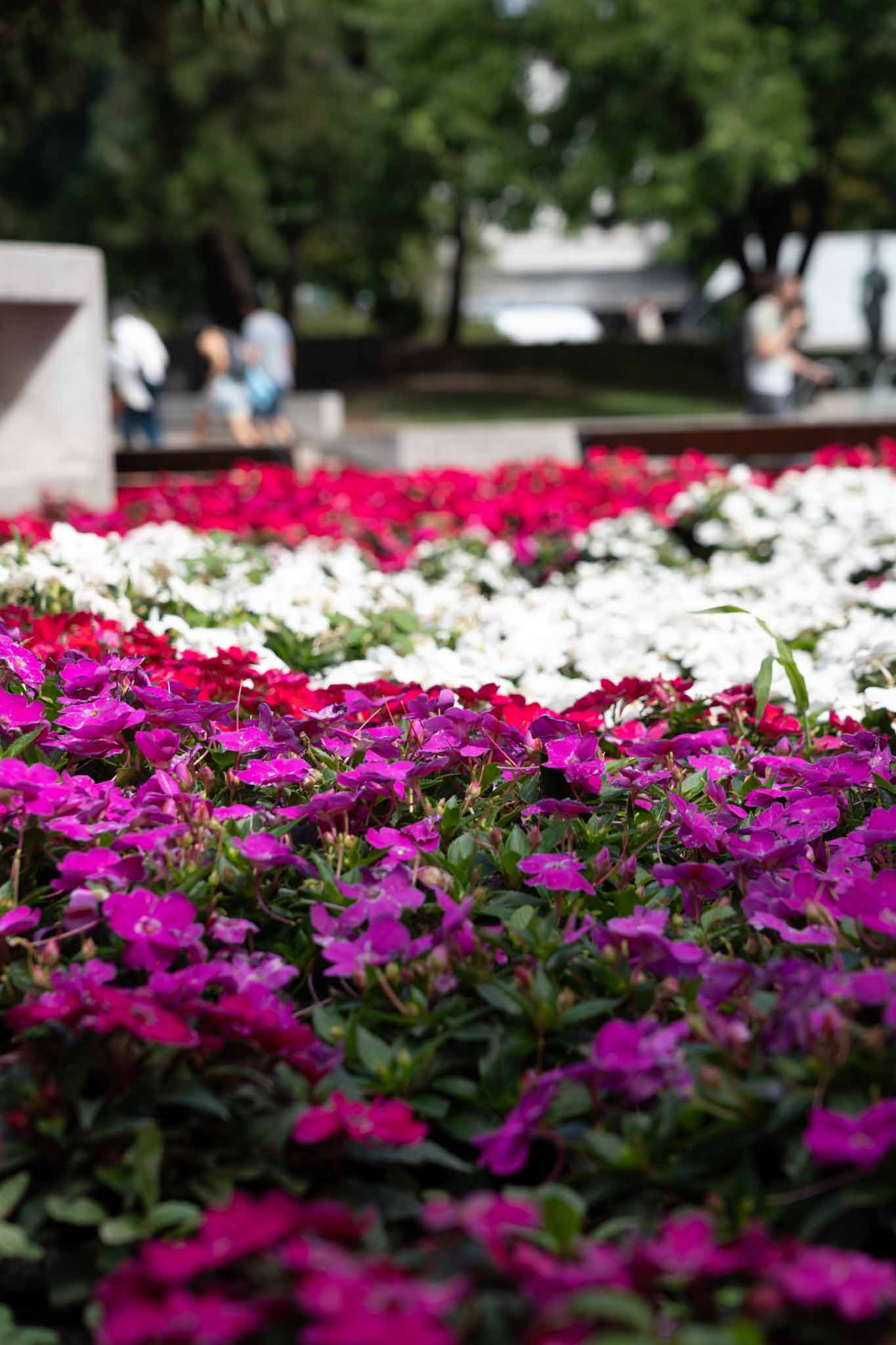 積立投資20年後のシミュレーション｜月1万円・3万円・5万円でいくら増える？