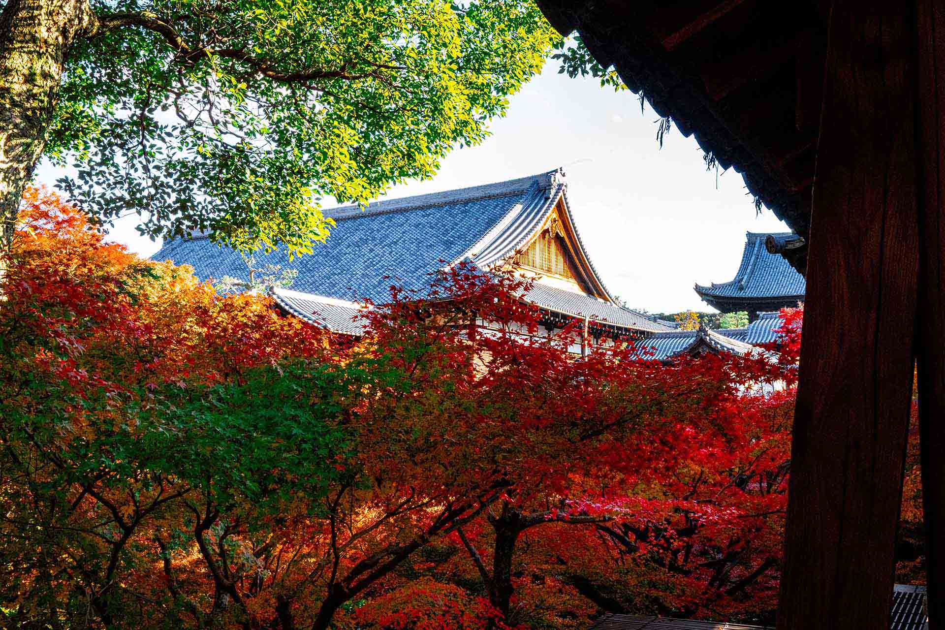 楽天オルカン vs eMAXIS Slim オルカン、どっちを選ぶ？違いを徹底比較