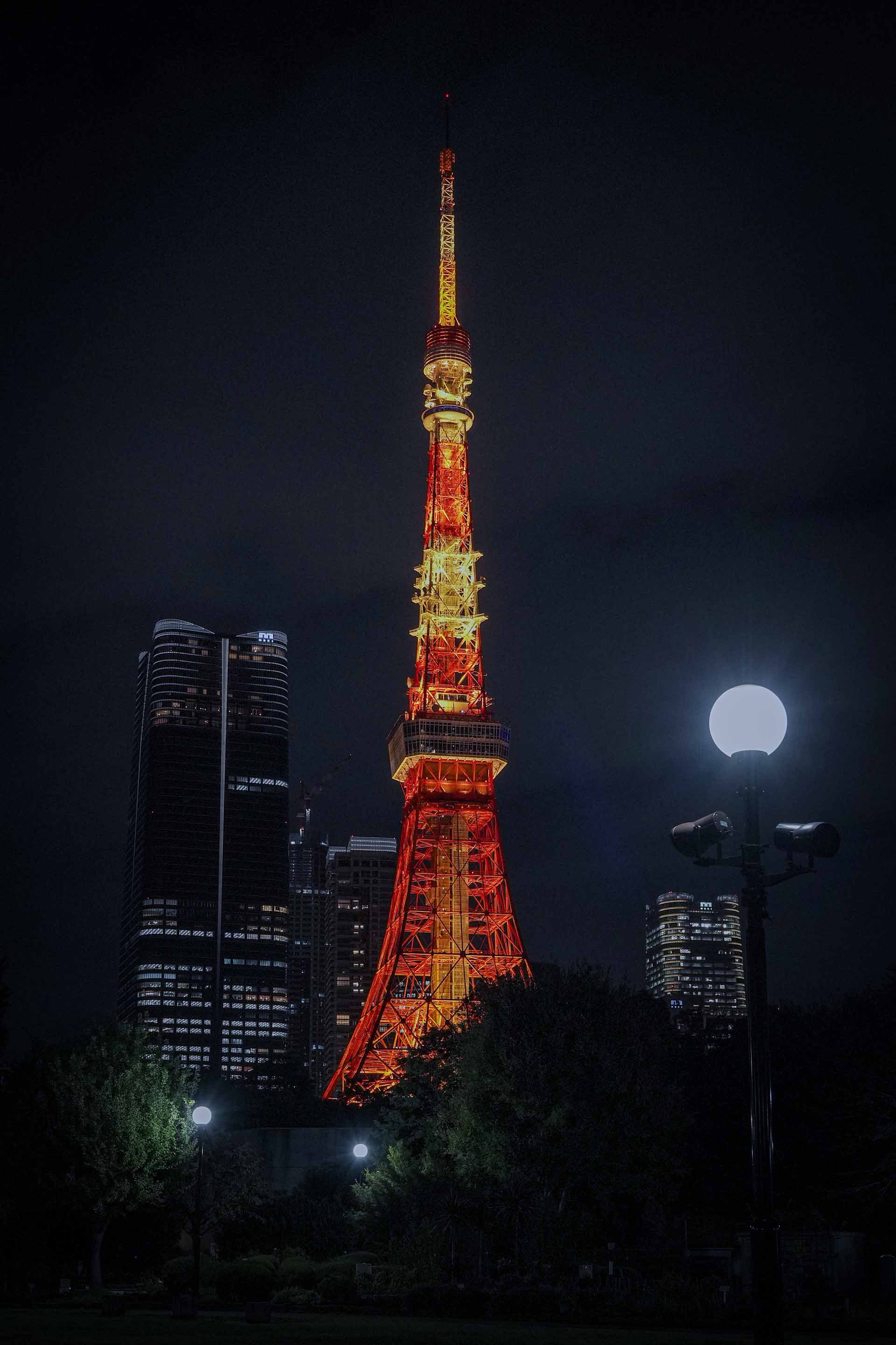 オークランド不動産投資ガイド｜NZ最大都市の市場動向【2025年版】