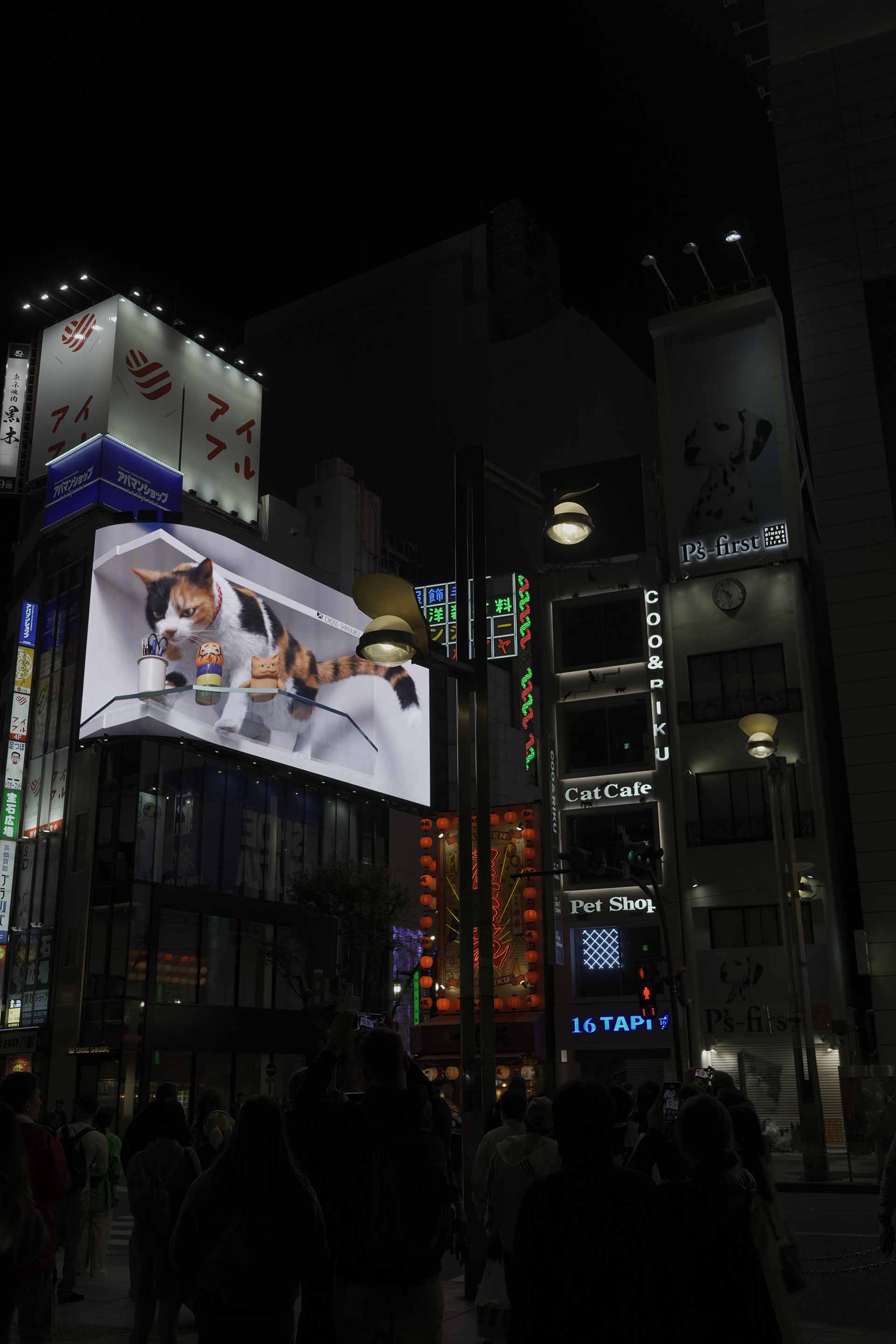 オーストラリア不動産投資2026年完全ガイド｜シドニー・メルボルンの価格予測と日本人の購入条件