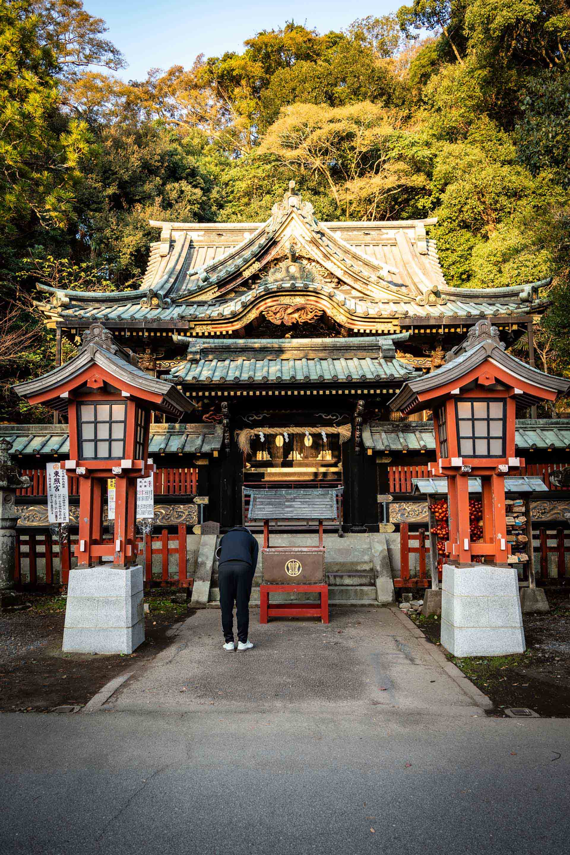 キプロス不動産投資ガイド｜リマソール・パフォスのゴールデンビザ完全解説【2026年版】