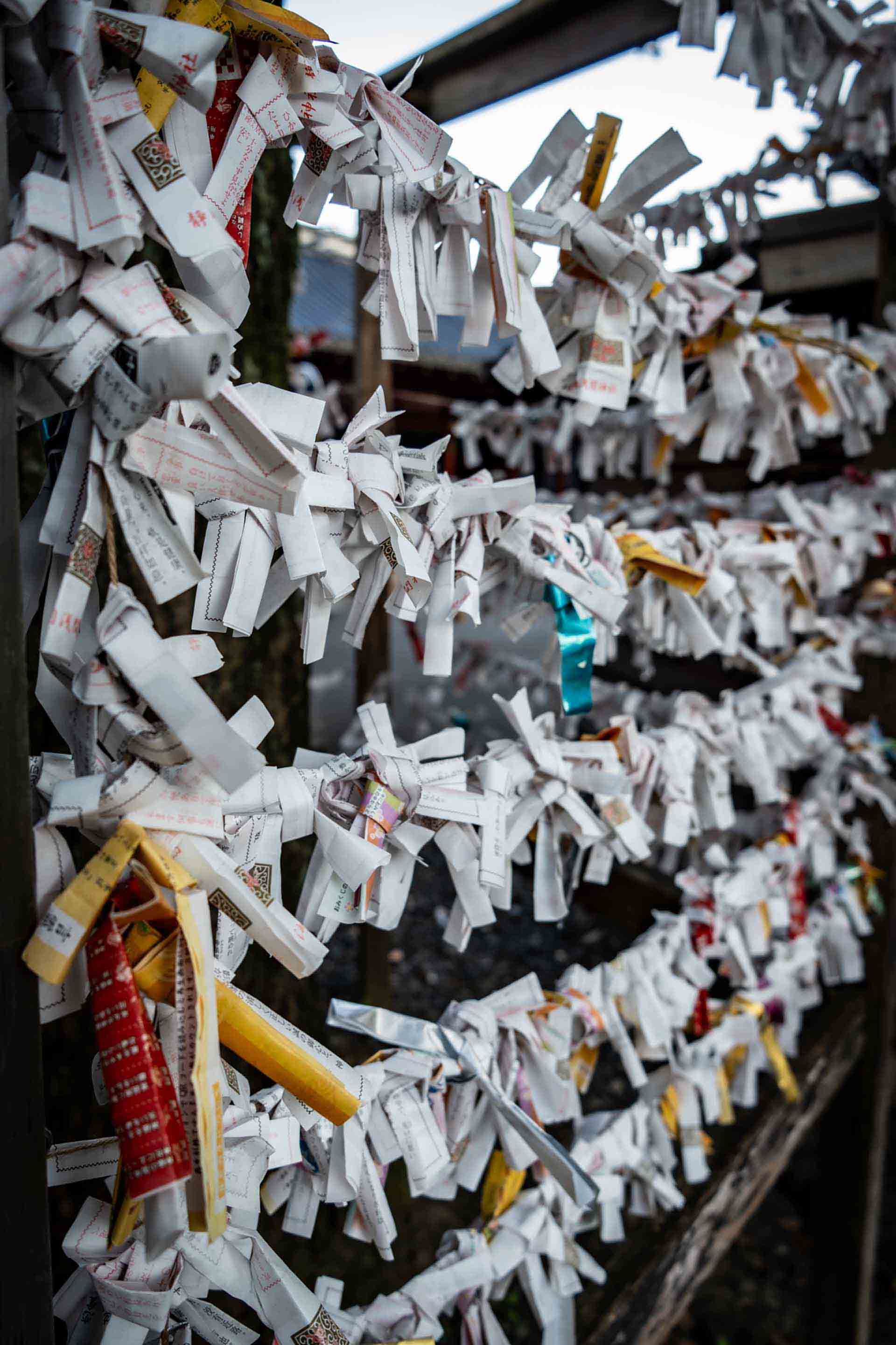 マルタ不動産投資ガイド｜永住権MPRP取得と税制メリット【2026年版】