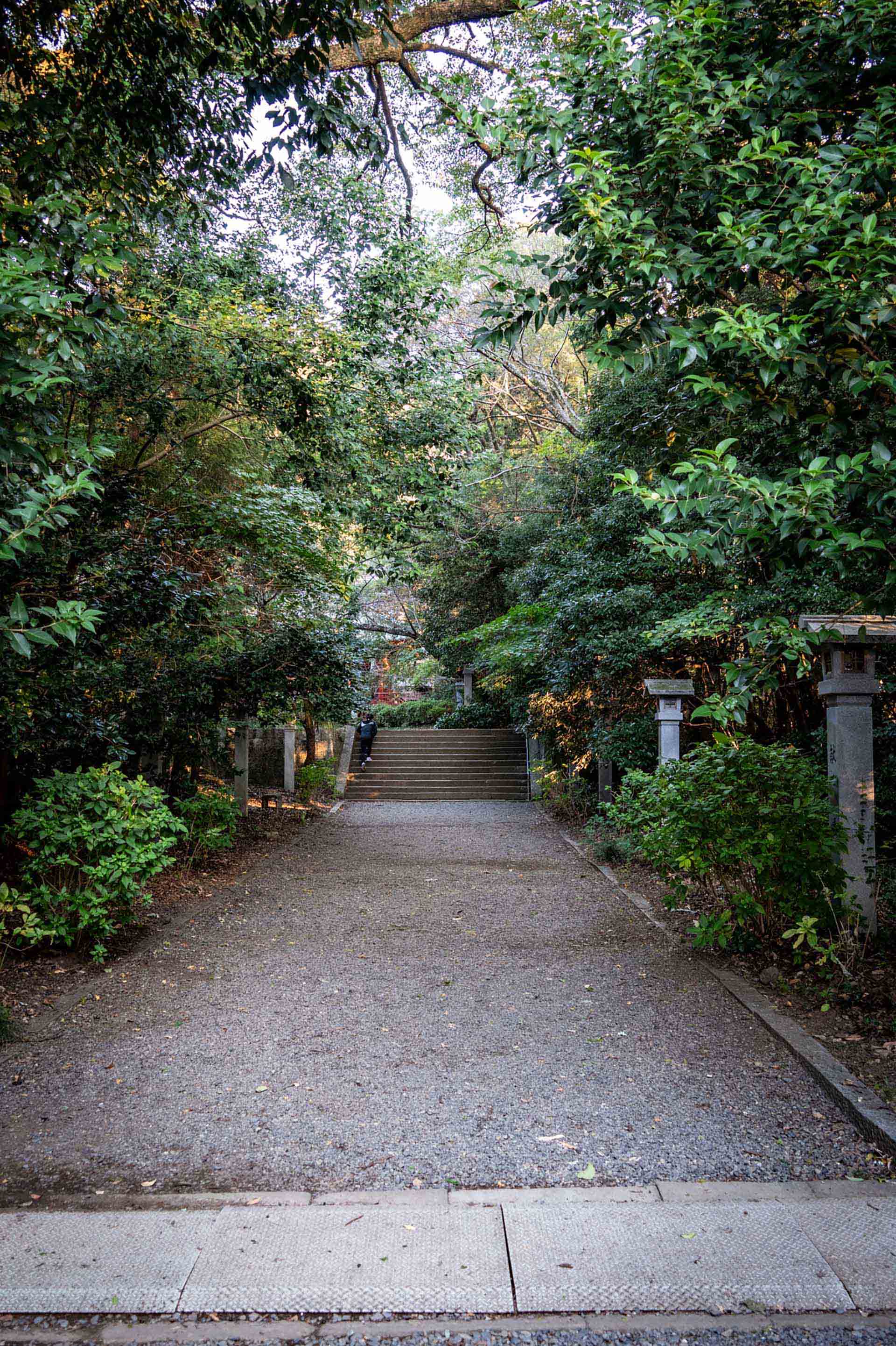 アブダビ不動産投資ガイド｜ゴールデンビザ・ドバイとの比較【2026年版】