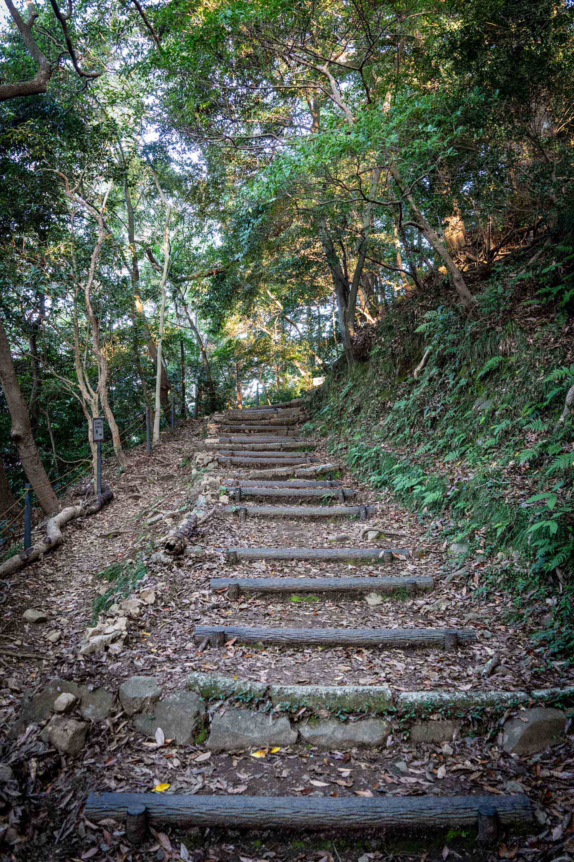 海外不動産投資の税金完全ガイド2026年版｜減価償却の節税封じ後にできる3つの対策