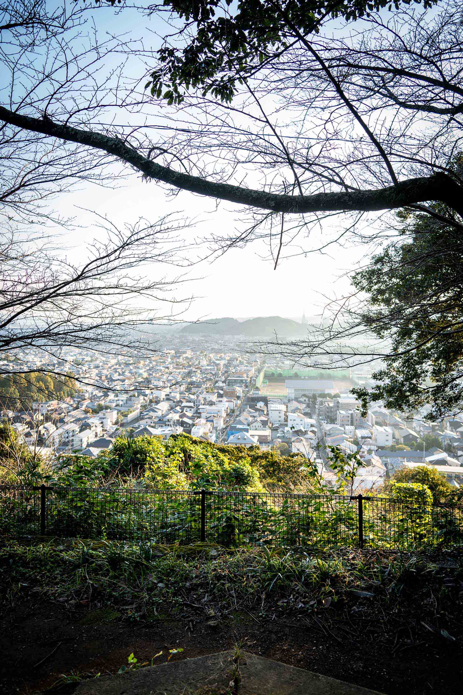 ブラジル不動産投資ガイド｜サンパウロ・リオの利回りと外国人規制