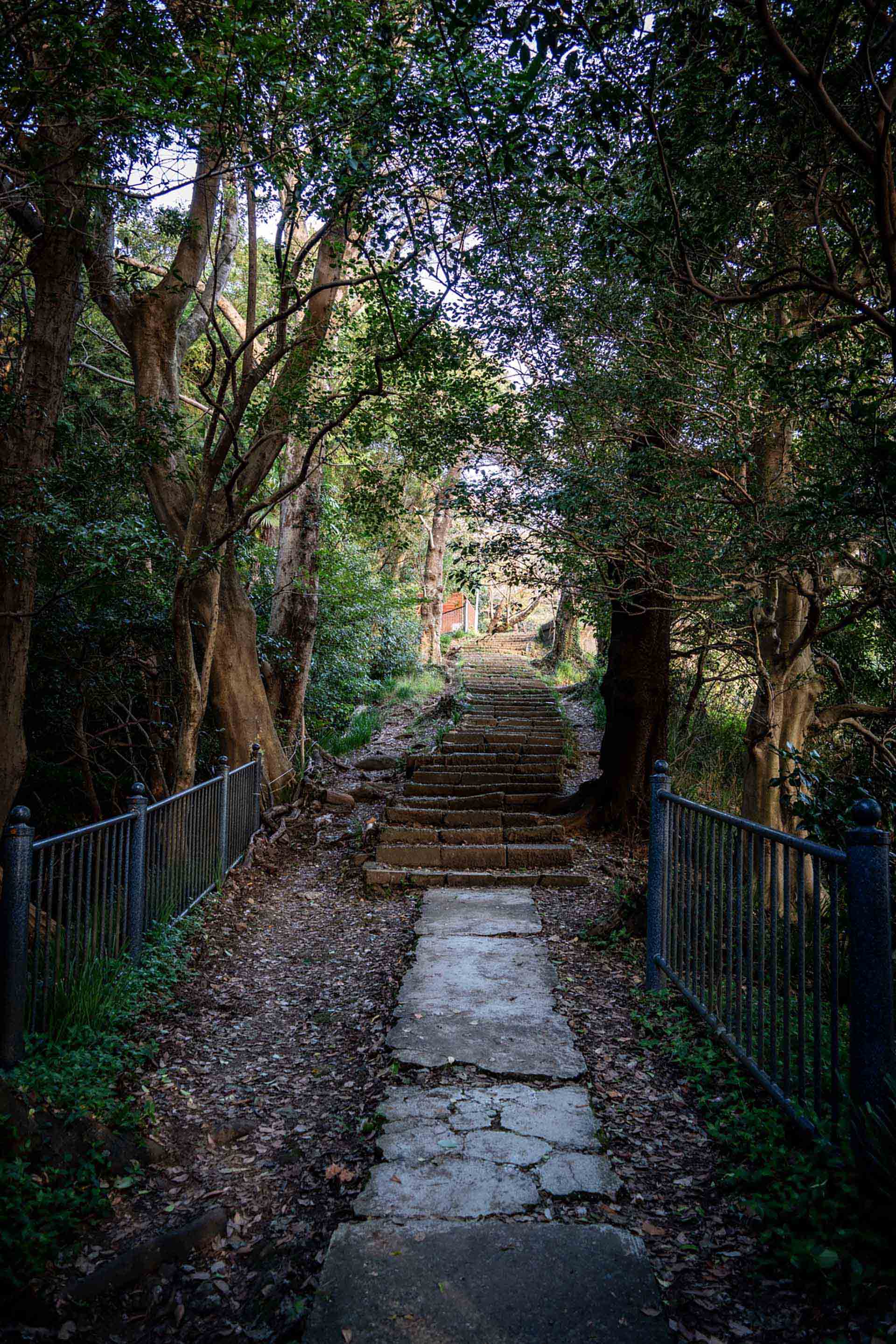 アルゼンチン・ブエノスアイレス不動産投資ガイド｜ミレイ改革後の投資チャンス