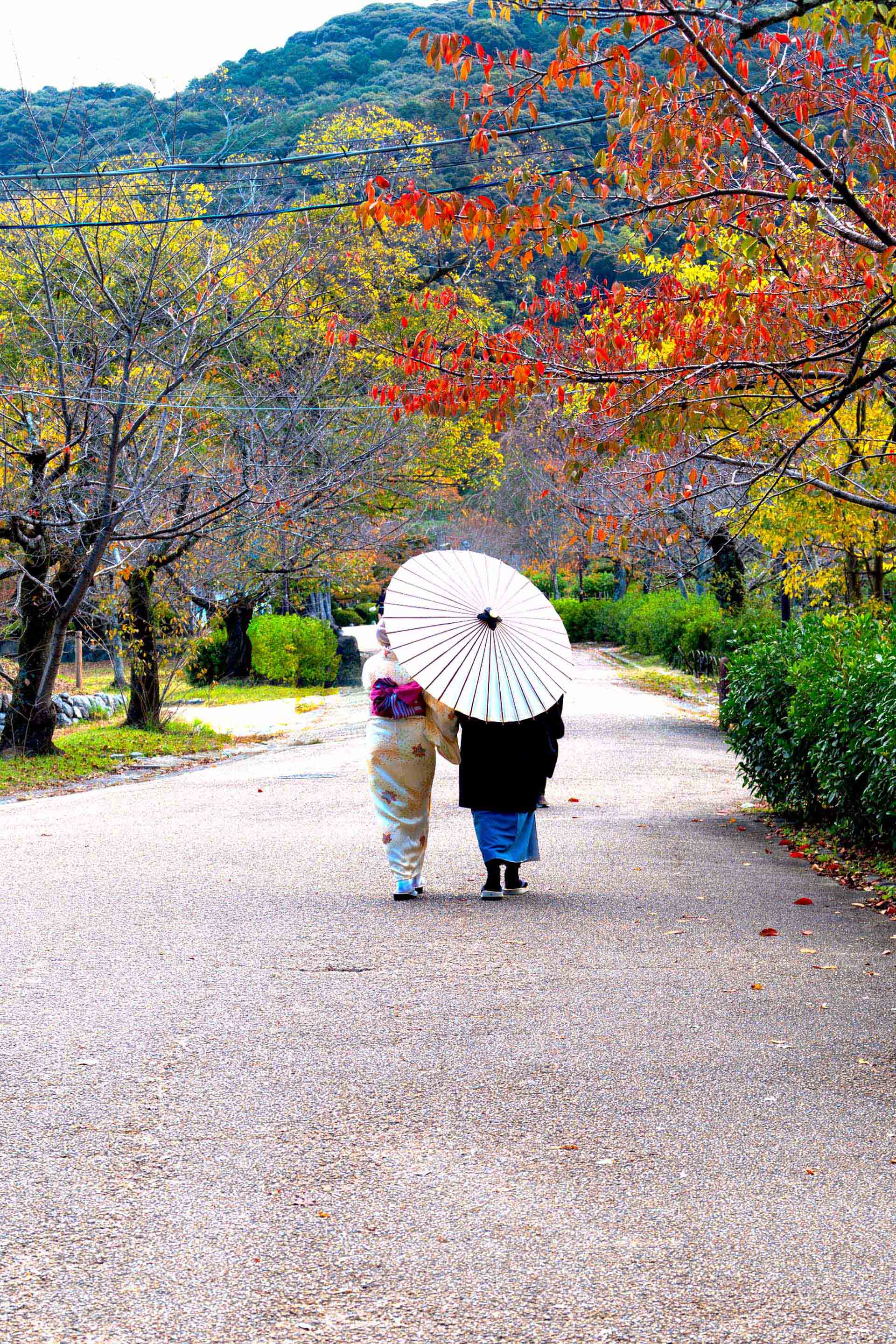 欧州ゴールデンビザの大転換：ポルトガル・スペイン廃止で投資家が急ぐべき理由