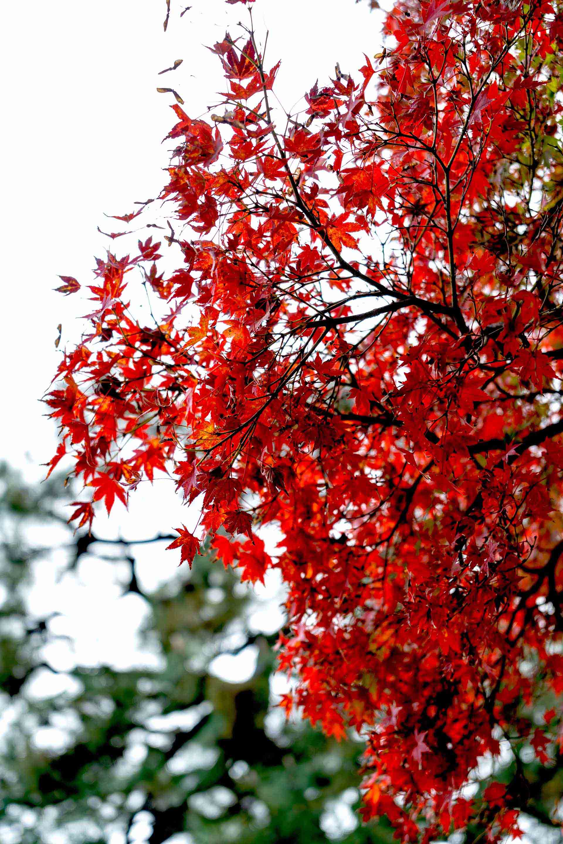 フィンランド不動産投資ガイド｜ヘルシンキの価格調整後に注目