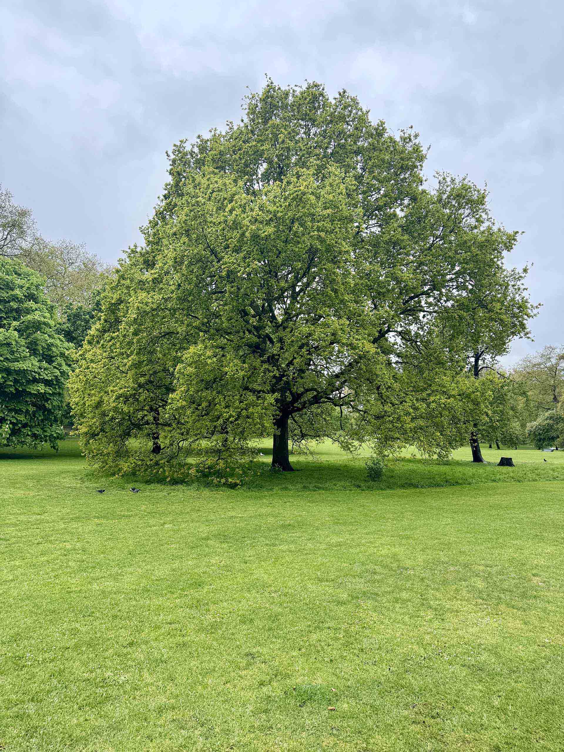 メキシコ不動産投資ガイド｜外国人購入・フィデイコミソ制度【2025年版】