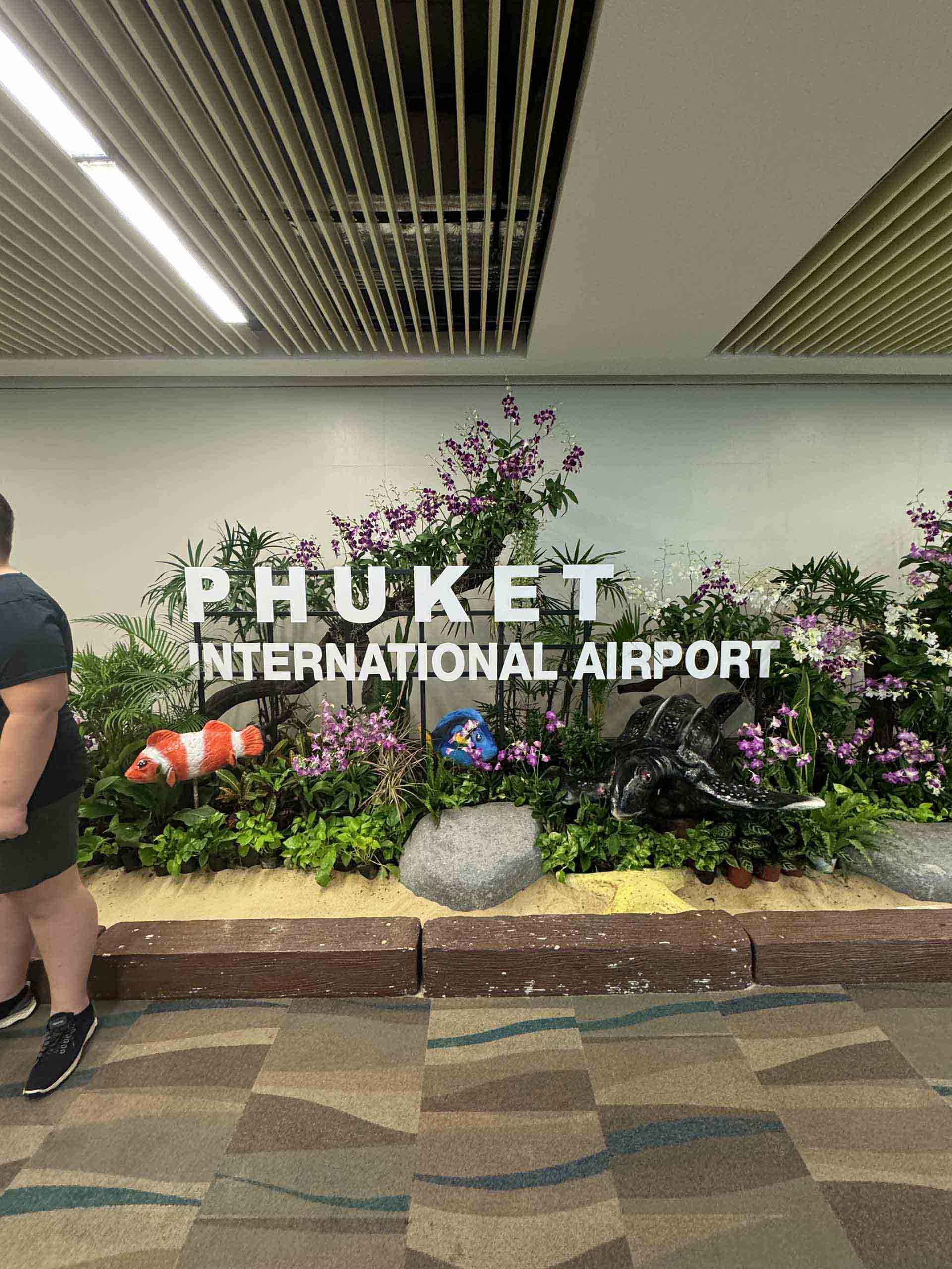 ミュンヘン不動産投資ガイド｜ドイツ最高価格の安定市場【2025年版】