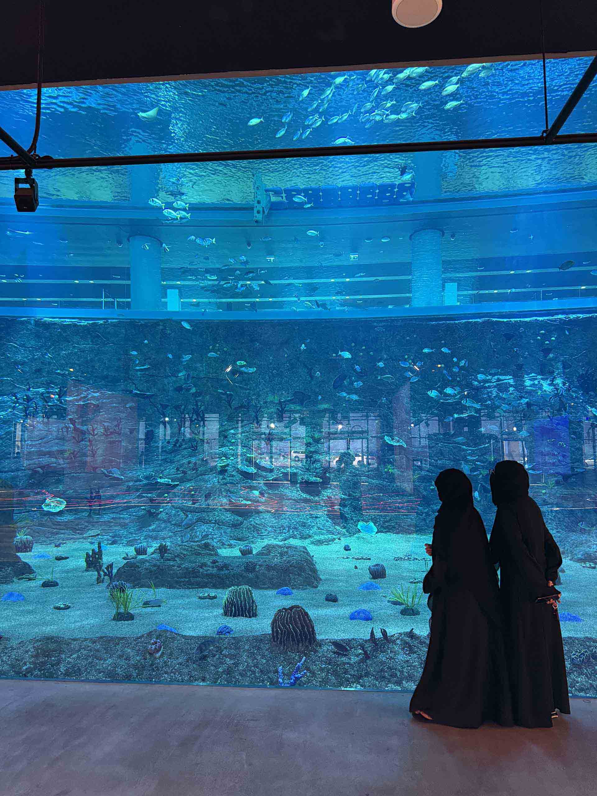 アメリカ不動産投資ガイド｜外国人の購入条件・税金・州別比較【2025年版】