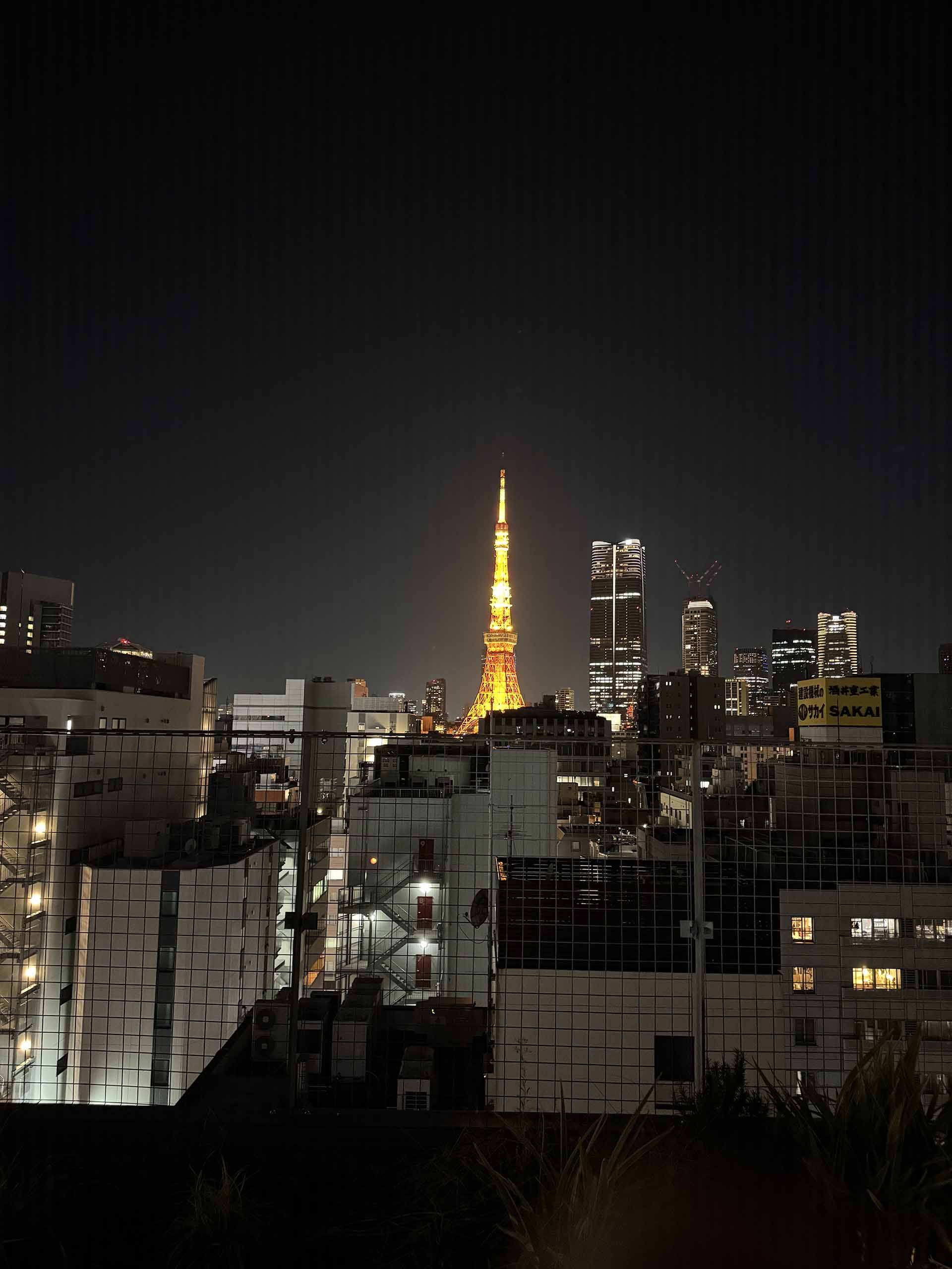 プエルトバジャルタ不動産投資ガイド｜太平洋岸リゾートの価格・利回り【2025年版】