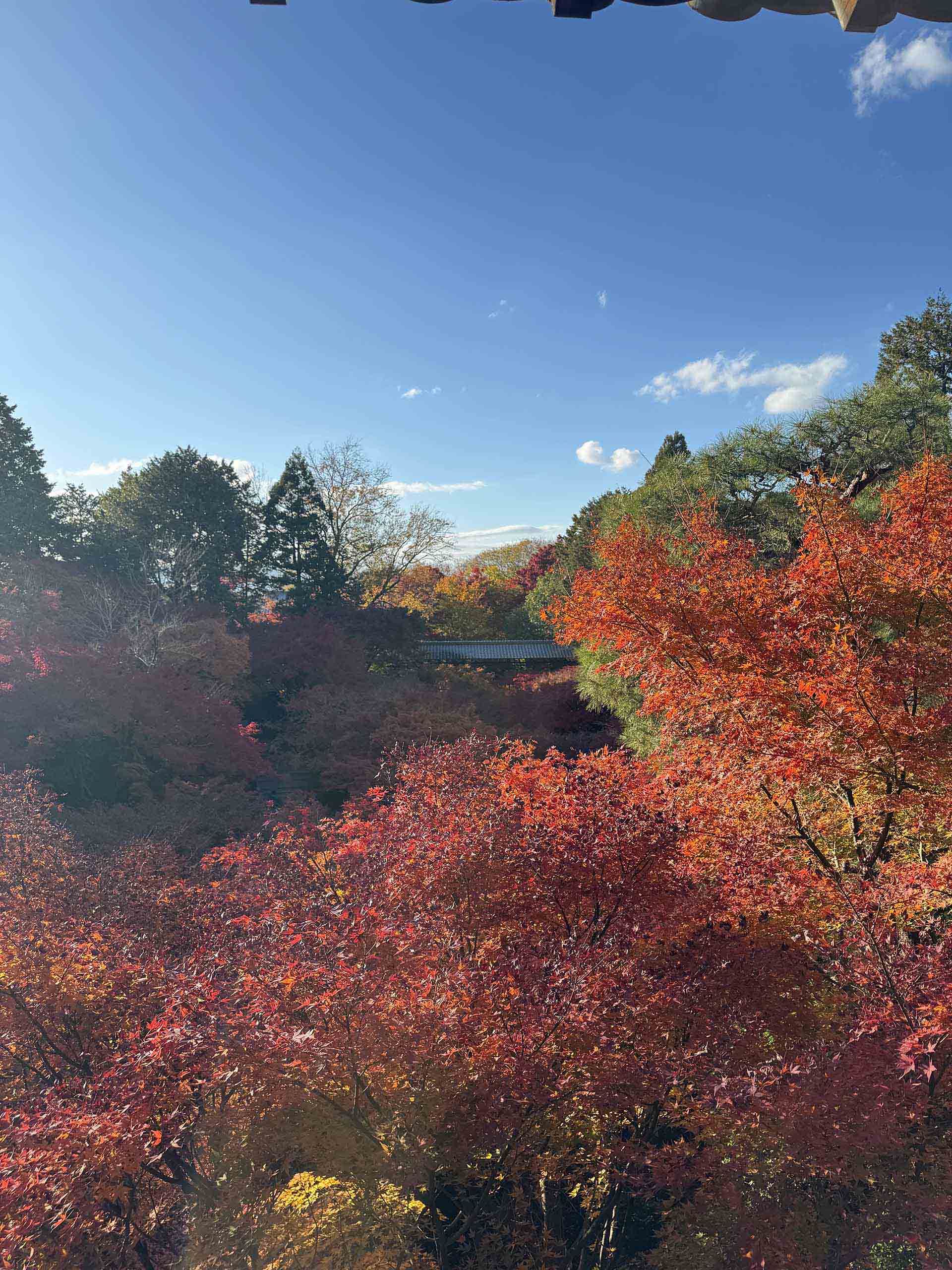 スコットランド不動産投資ガイド｜エディンバラ・グラスゴーの比較【2025年版】