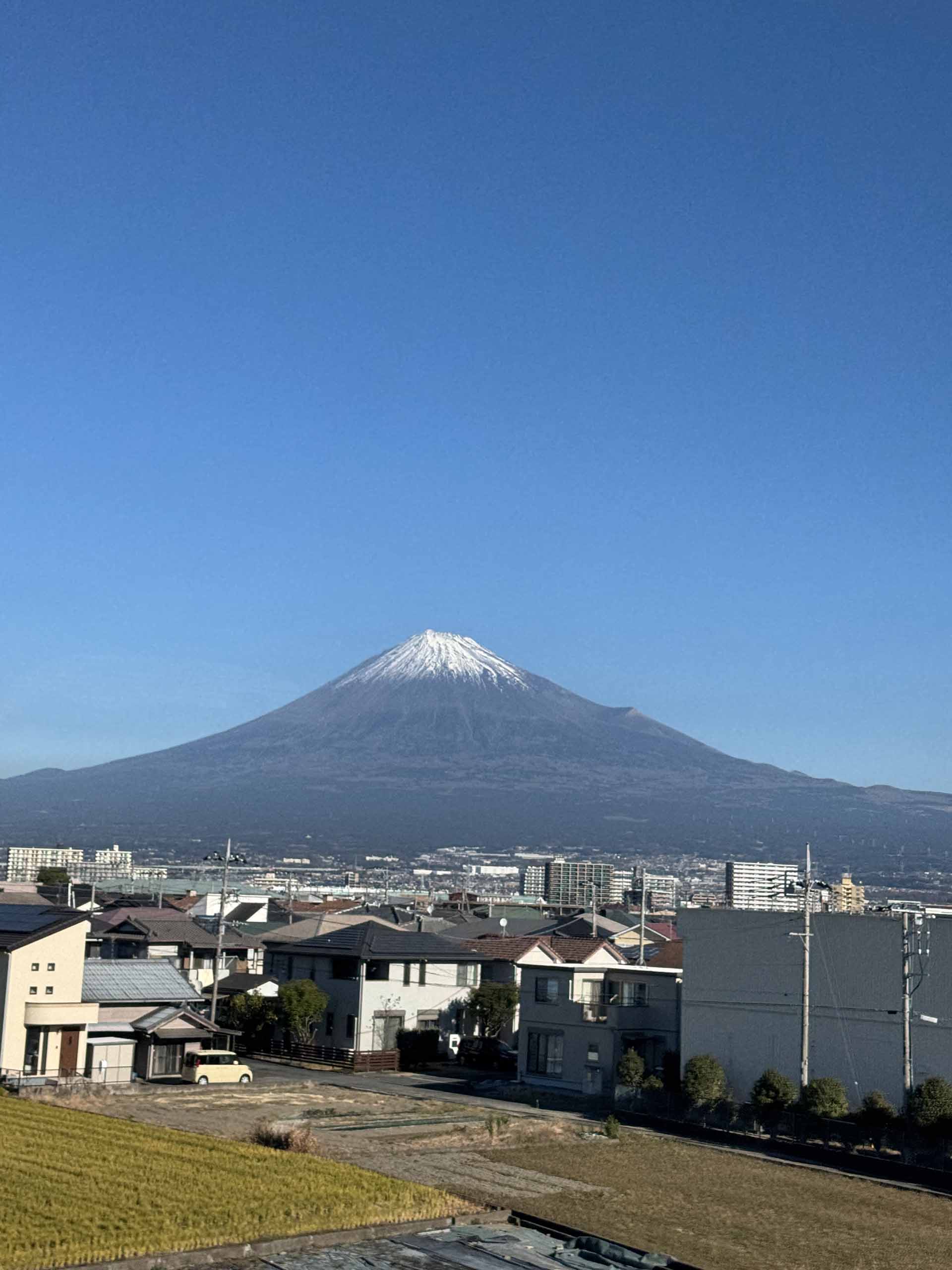 ラスベガス不動産投資ガイド｜税金ゼロ・価格動向・利回り【2025年版】