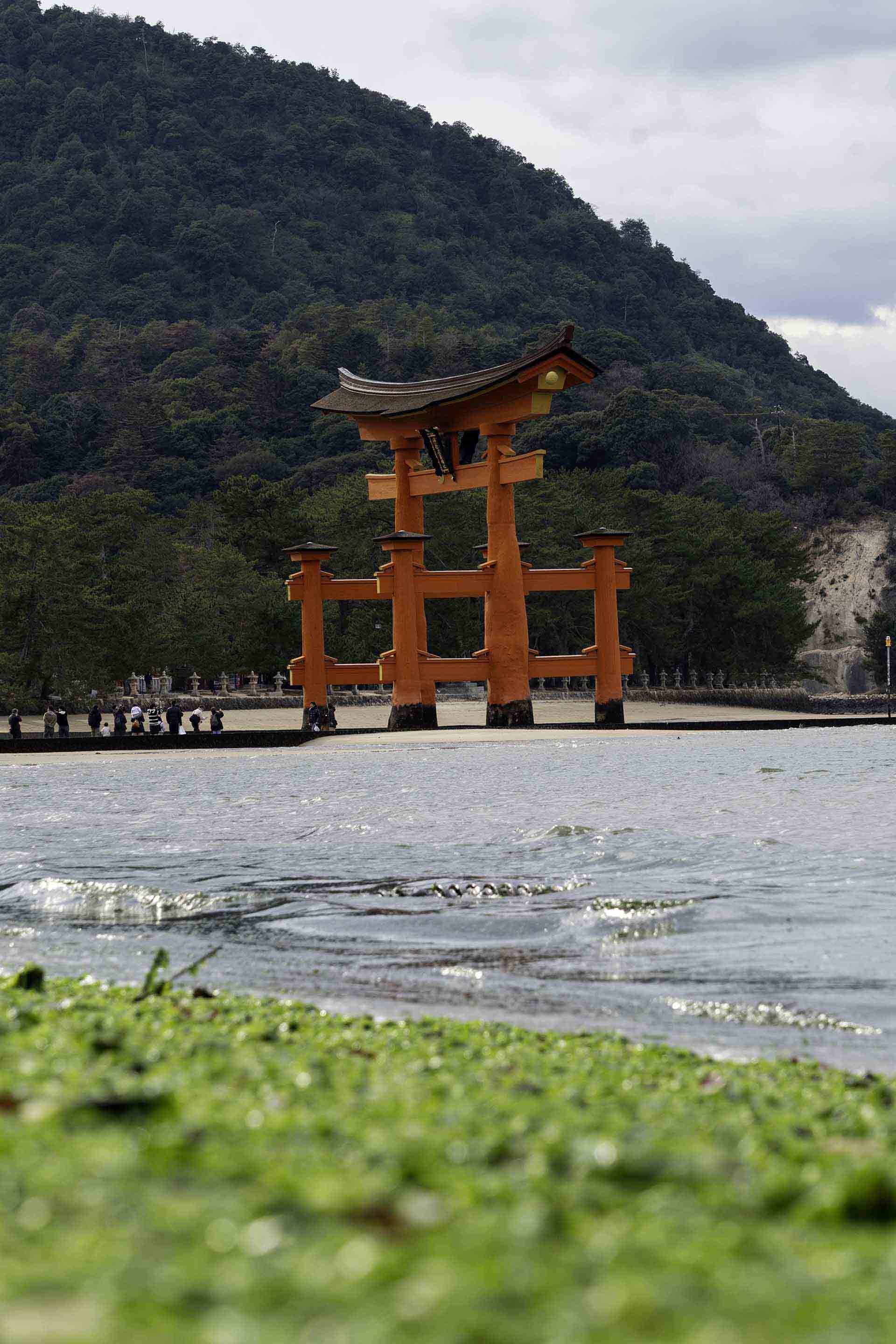 フィリピン不動産の利回り比較｜マニラ・セブ・エリア別【2025年版】