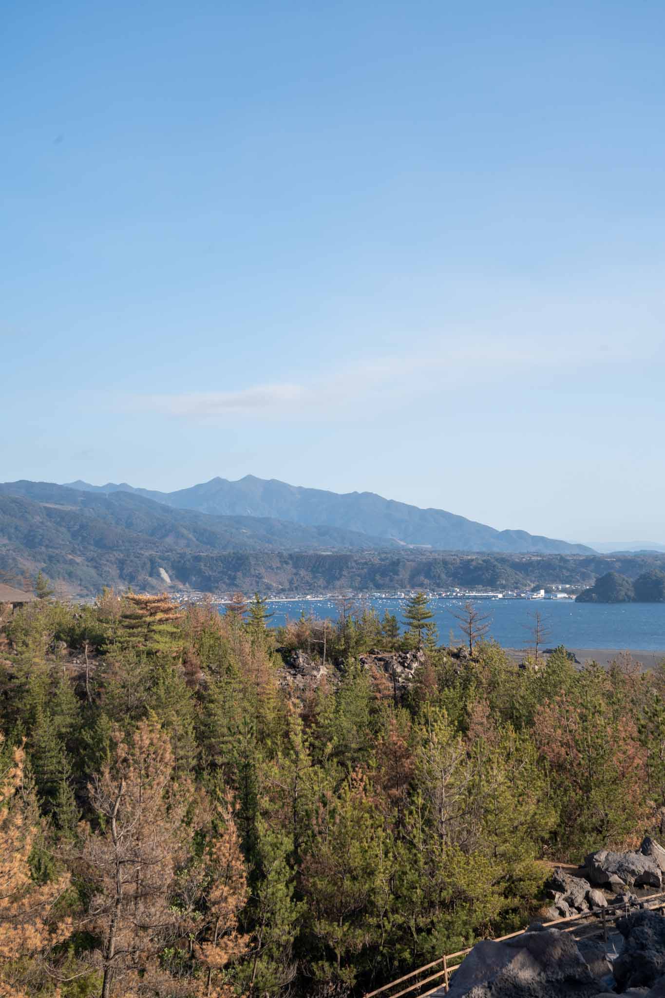 シンガポール vs 東南アジア不動産投資｜外国人投資家の国別比較【2025年版】