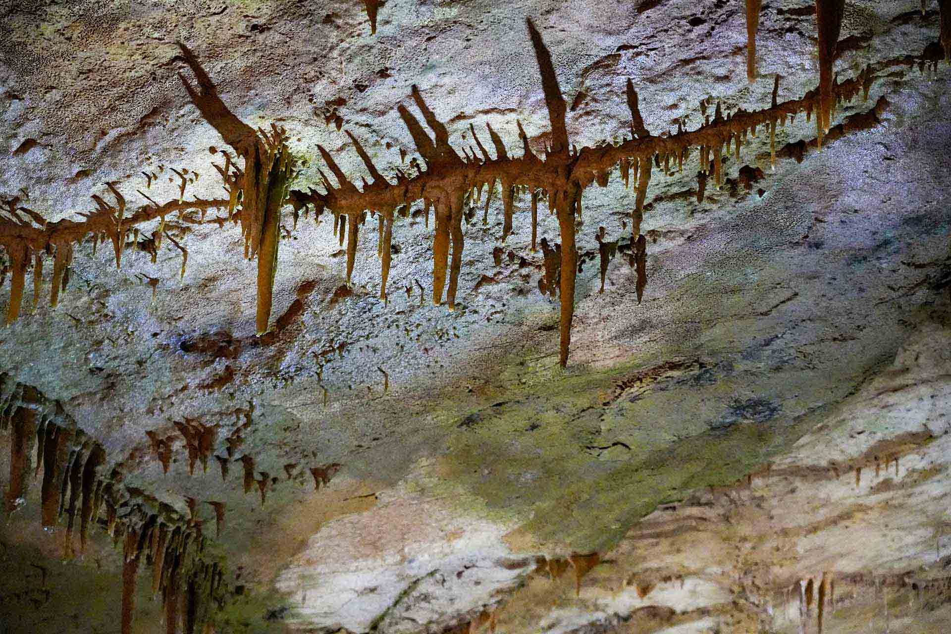 ダナン不動産投資｜ビーチフロント・価格相場・利回り【2025年版】