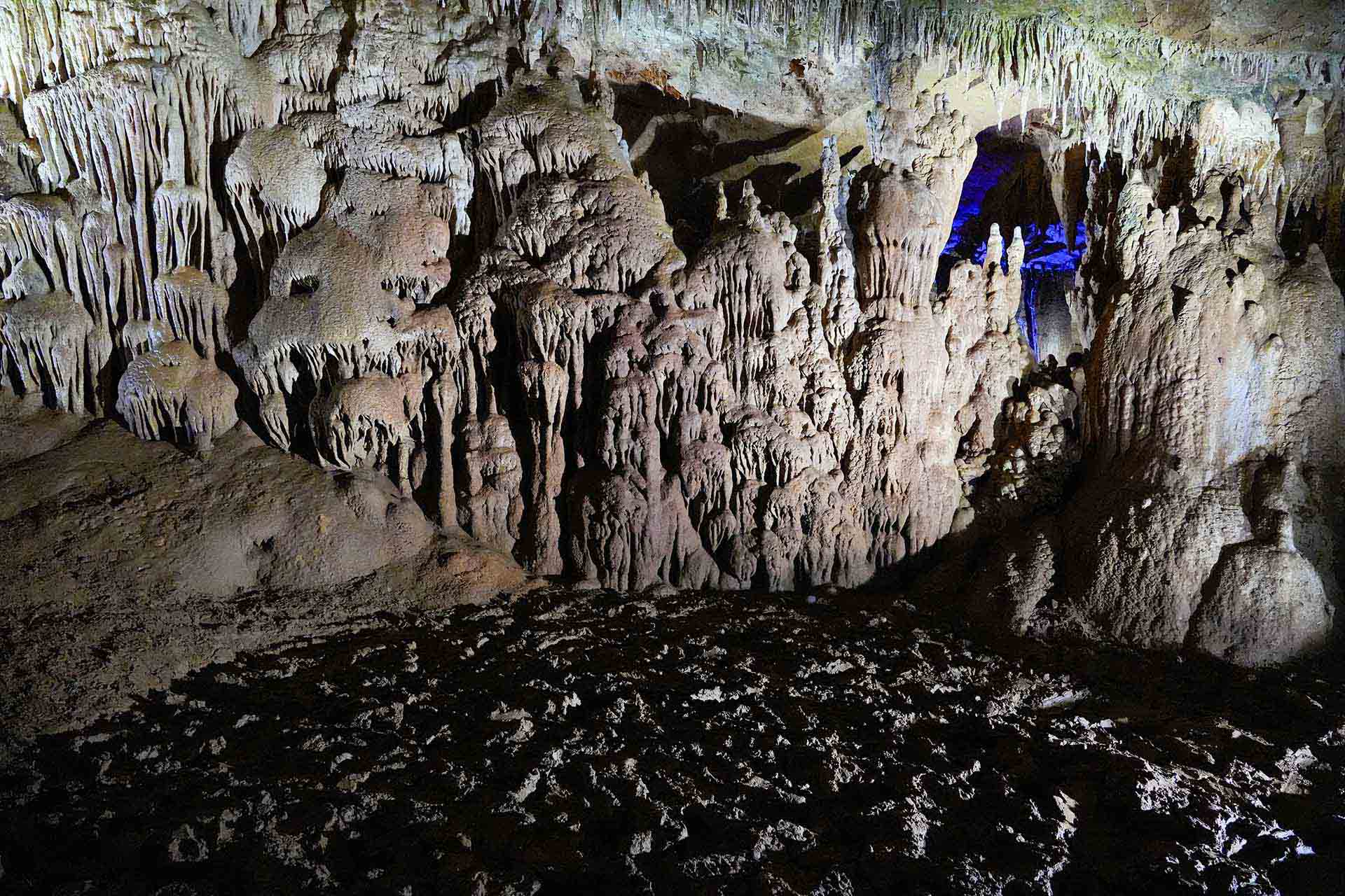 フィリピン不動産デベロッパー比較｜アヤラ・メガワールド・SMDC大手ガイド