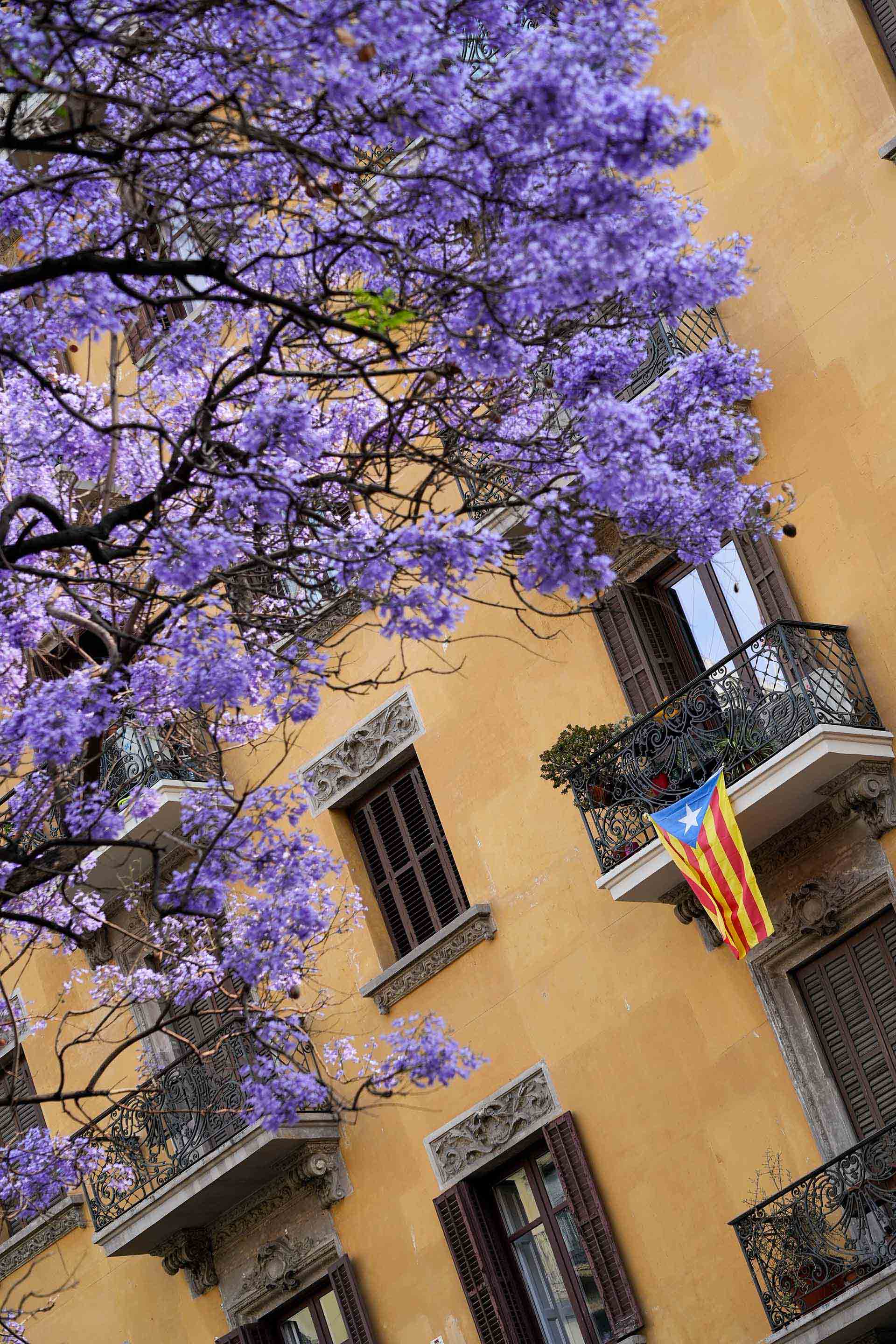 プノンペン不動産投資｜BKK1・トンレバサック・価格相場・利回り【2025年版】