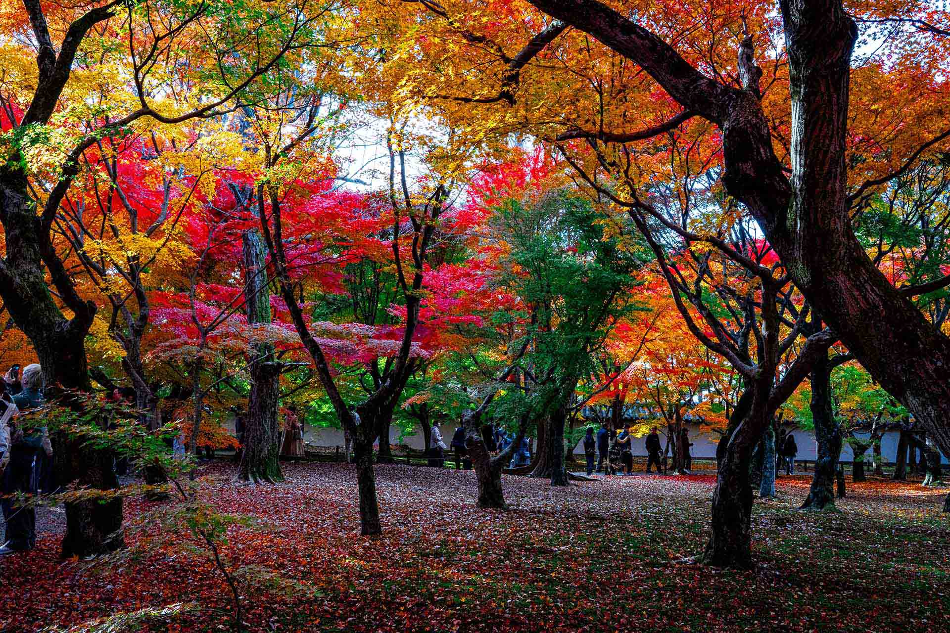 グローバル不動産市場の回復が再編を後押し