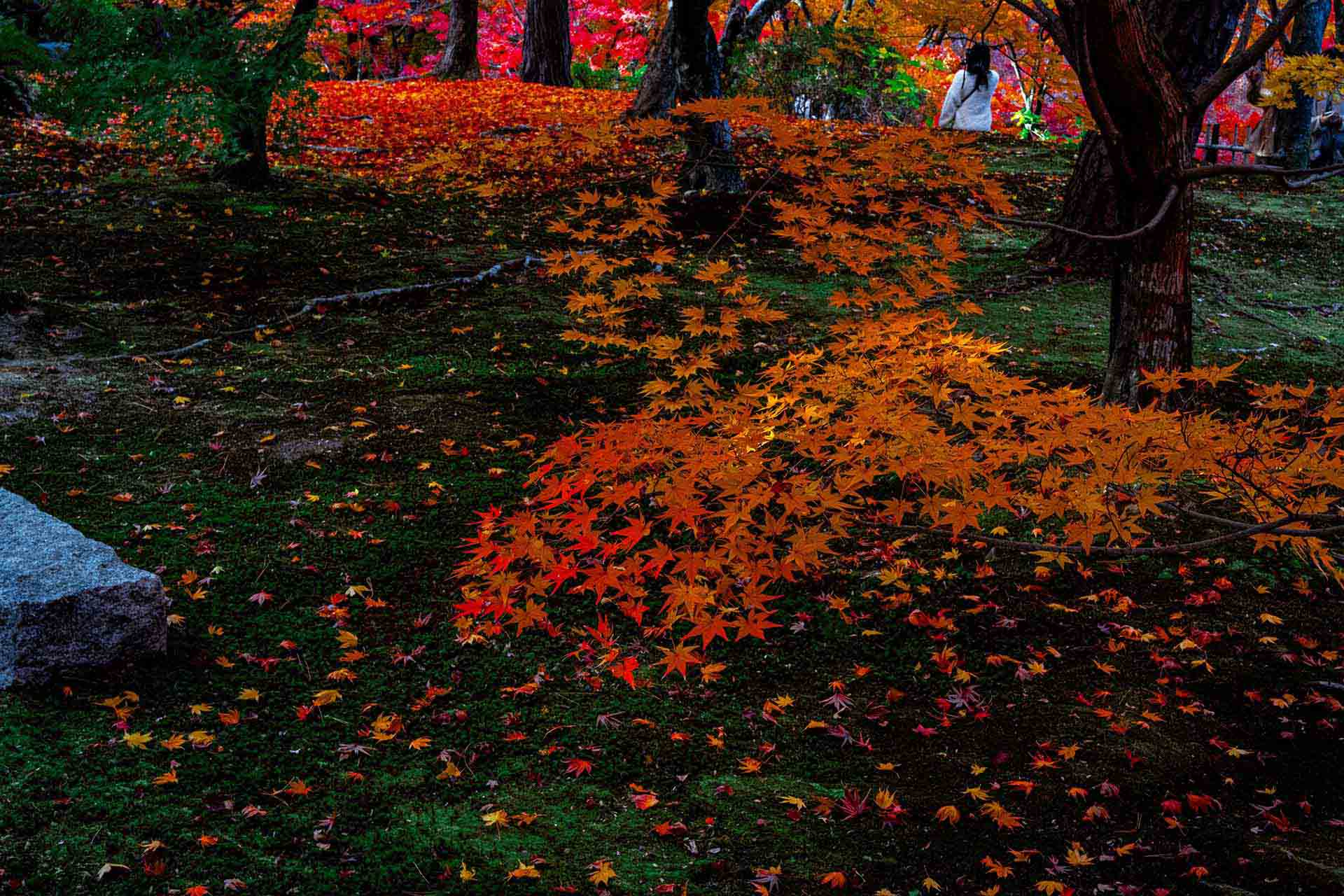欧州の住宅投資が歴史的転換点を迎えている