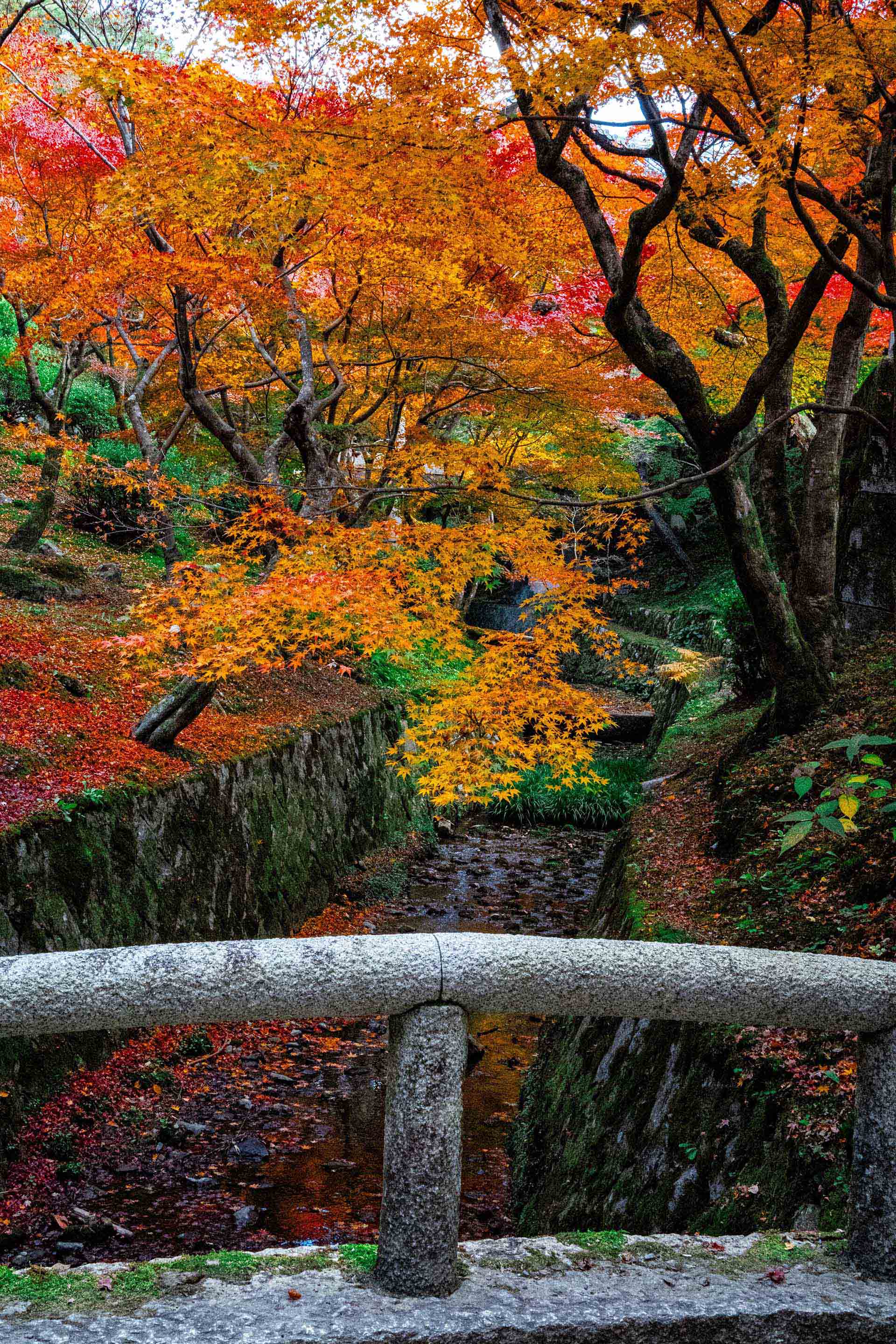 クロスボーダー不動産取引の加速が見込まれる